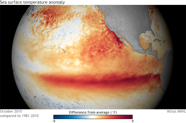 Sea surface temperature anomaly map