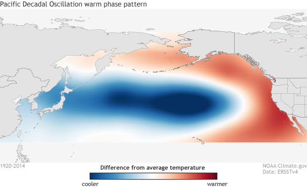 SST anomaly map of the Pacific for August 2015