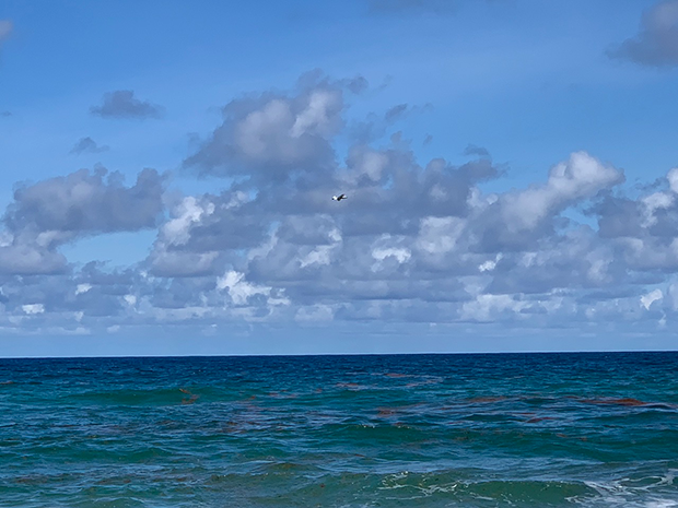 RAAVEN aloft over the ocean