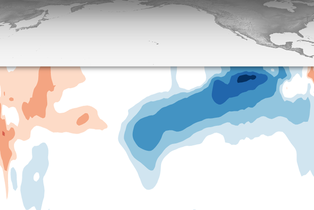 Line graph showing that predicted sea surface temperature in the tropical Pacific will be cooler than the La Niña threshold