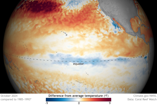 3-D style map of tropical Pacific Ocean showing cool waters along hte equator associated with La Niña